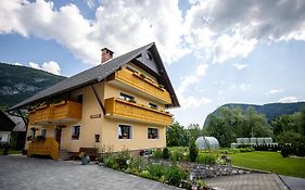 Apartment Matej Cvetek