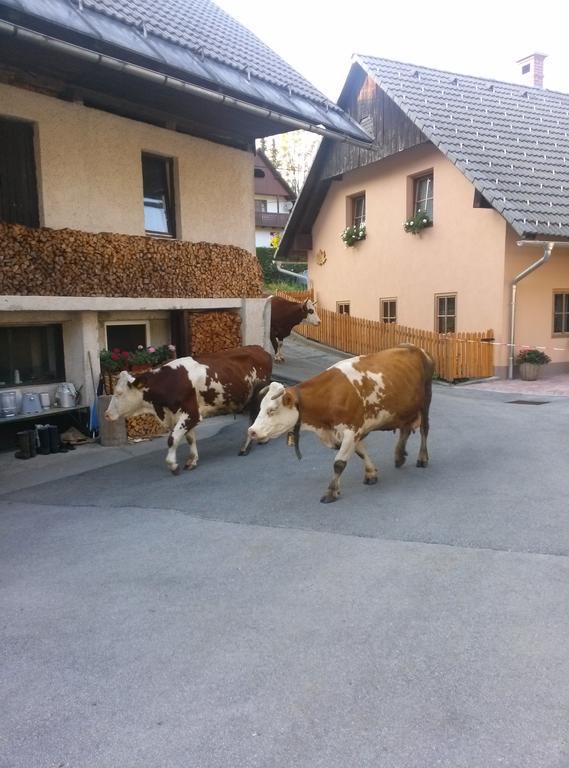 Apartmaji Matej Cvetek Bohinj Buitenkant foto